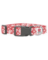 Saltrock Corp Dog Collar