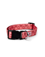 Saltrock Equinox Dog Collar