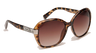 Eyelevel Sienna-Sunglasses-troggs.com